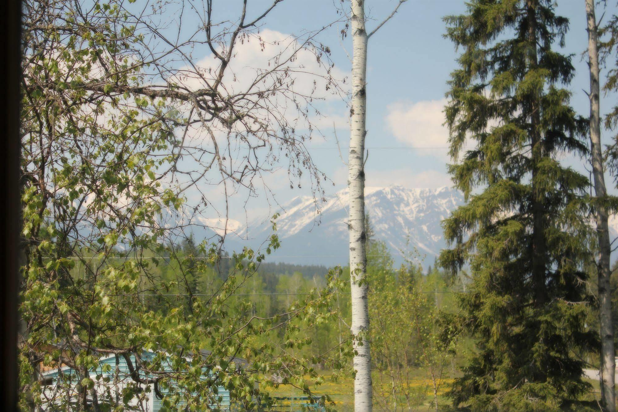 Kicking Horse Kabins Golden Exterior foto